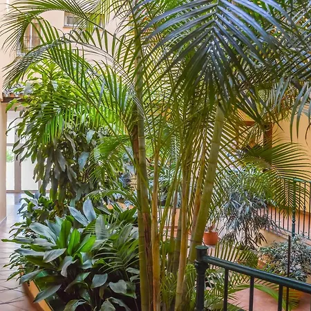 Apartment A222 El Recreo